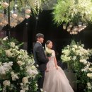 결혼식 찐후기 / 스드메 찐후기 :: 웨딩촬영,웨딩베뉴(웨딩홀),메이크업,드레스샵,맞춤정장,스냅촬영...