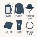 환상의섬 | 하마시마 이시가키 환상의섬 상륙투어 반나절 스노클링 가기전 준비와 일정정리