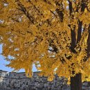 경기도 수원시 장안구 경수대로743번길 이미지