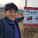 제1 농장 이미지