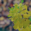 성지산공원 이미지