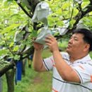 농수산물직거래유통