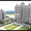 블루아라(I) 이미지