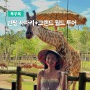 풀룸 | 푸꾸옥 모벤픽 레지던스 풀억세스룸 후기ㅣ호텔동vs레지던스동 비교
