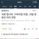 국회 법사위, 구하라법 의결…내일 본회의 처리 전망 이미지