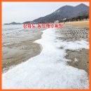 동막해수욕장(동막리14-1) 네이버블로그