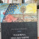 메가스 이미지