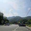홍천 수타사 산소길 공작산 생태숲 트레킹 벌개미취 만개