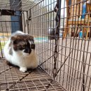 대덕정미소 이미지