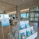 배산작은도서관 | 주례열린도서관 큐레이션작업후기, 동심으로 돌아가는 그림책큐레이션