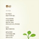 뿌리 Daum카페