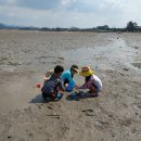 돌머리해수욕장 주차장 이미지