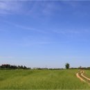 태신농장 이미지