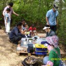 나자리오 이미지