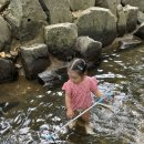 칠갑산계곡펜션 | 청양 칠갑산 자연휴양림 연년생 아이들과 물놀이 계곡