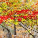 우리펜션 이미지