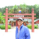 법왕사 앞 Daum카페