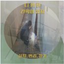 회천남로 이미지