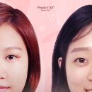 에이에이(AA) - 장흥군 | 에이에이(AA)