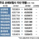 법인오렌지 이미지