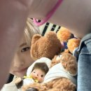 풀풀풀