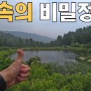 산림청 선정 대한민국 '명품숲길 50선'【가평 잣향기푸른숲】 이미지