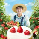 농부바게트 이미지