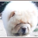 소요산장 어유지 이미지