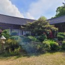 달의 정원 이미지