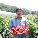 오용재 이미지