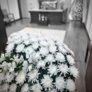 수원요양병원 | 수원요양병원장례식장 비용과 빈소 합리적인 정리