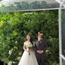 [웨딩다이어리]mj컨벤션 홀패키지 인천세미앙 스튜디오 촬영 후기