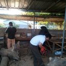 큰함지박 이미지