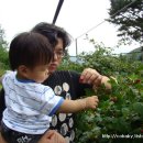 상동농장 이미지