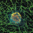 초록 환경 개발 이미지