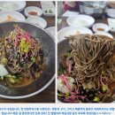 옹심이메밀칼국수 티스토리