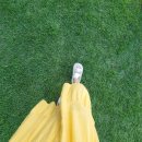 (주)팜스토리 서울사료 경산 | 압량 육구팔구 고기다고기,강원도 동해 여행,망상해수욕장,영덕 대게라면 <8월2주차 주간일기>