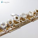 플루트(초급) 이미지