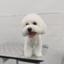 쁘니살롱