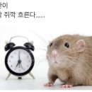 우다닷 이미지