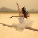 남양면사무소 이미지