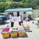 밀양이불 경남연합일보
