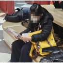 엘영어학원 이미지