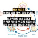 에스비 피트니스 이미지