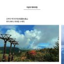 (주)위드트레블 이미지