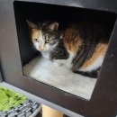 요섭농장 이미지