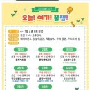 오늘여기 이미지