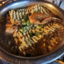 벌떡새우 이미지