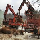 서대리농장 이미지