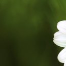 (주)자연이야기